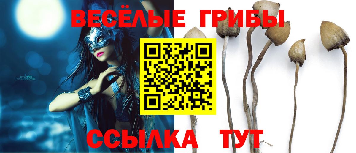 Псилоцибиновые грибы Magic Shrooms Сланцы