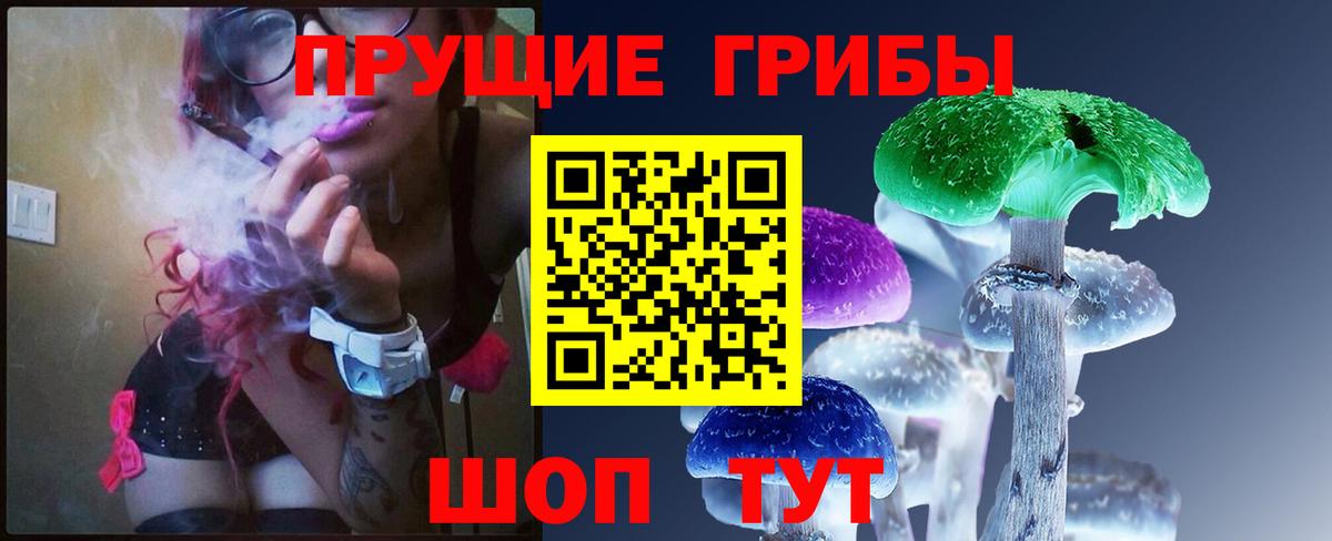 Псилоцибиновые грибы MAGIC MUSHROOMS  купить   Сланцы  Вход с VPN  Галлюциногенные грибы мухоморы 